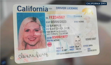 NY皇后区加州DMV系统错误，30多万人需重新办理REAL ID