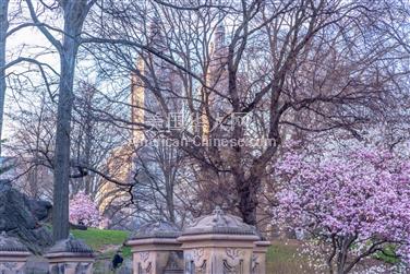 NY曼哈顿区升温预警！纽约或打破高温纪录，“一秒入夏”真的来了