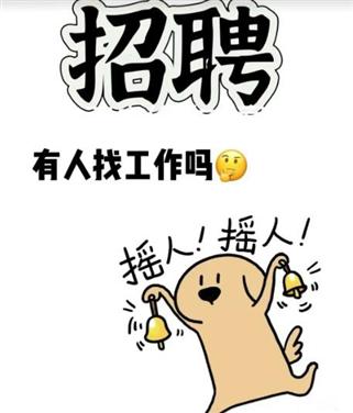 旧金山市APP体验官