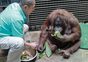 LA洛杉矶动物园饲养员助理