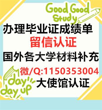 阿罕布拉被挂科耽误的留学生，本科未毕业要不要回国