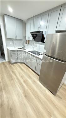 NY皇后区全新建大豪宅1室1厅1卫1650全包