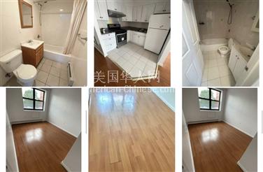 NY皇后区法拉盛电梯一室一厅一卫