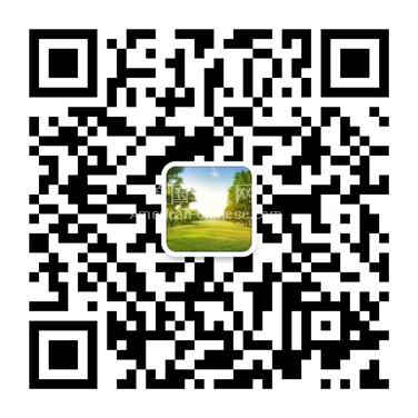 LA阿罕布拉居家办公客服专员