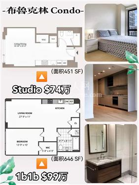 布鲁克林区布鲁克林17层公寓  Studio $74万