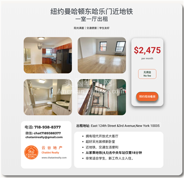 NY曼哈顿区纽约曼哈顿Manhattan_东哈乐门一室一厅出租