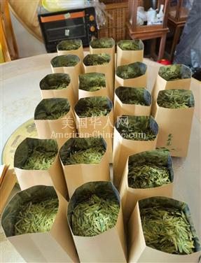 旧金山招聘茶叶包装员